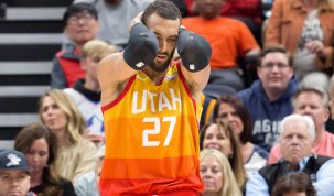 rudy-gobert