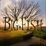big-fish