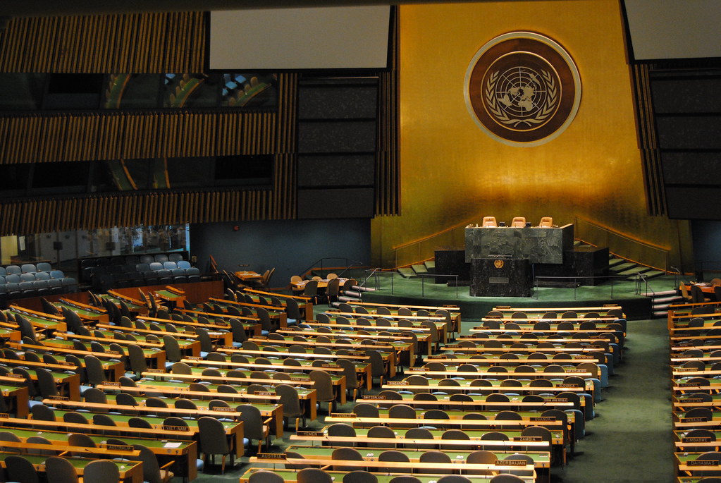 Asamblea General de las Naciones Unidas